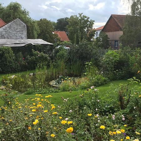 Schoene Gemuetliche Ferienwohnung Mit Kamin I Im Harz Darlingerode Экстерьер фото