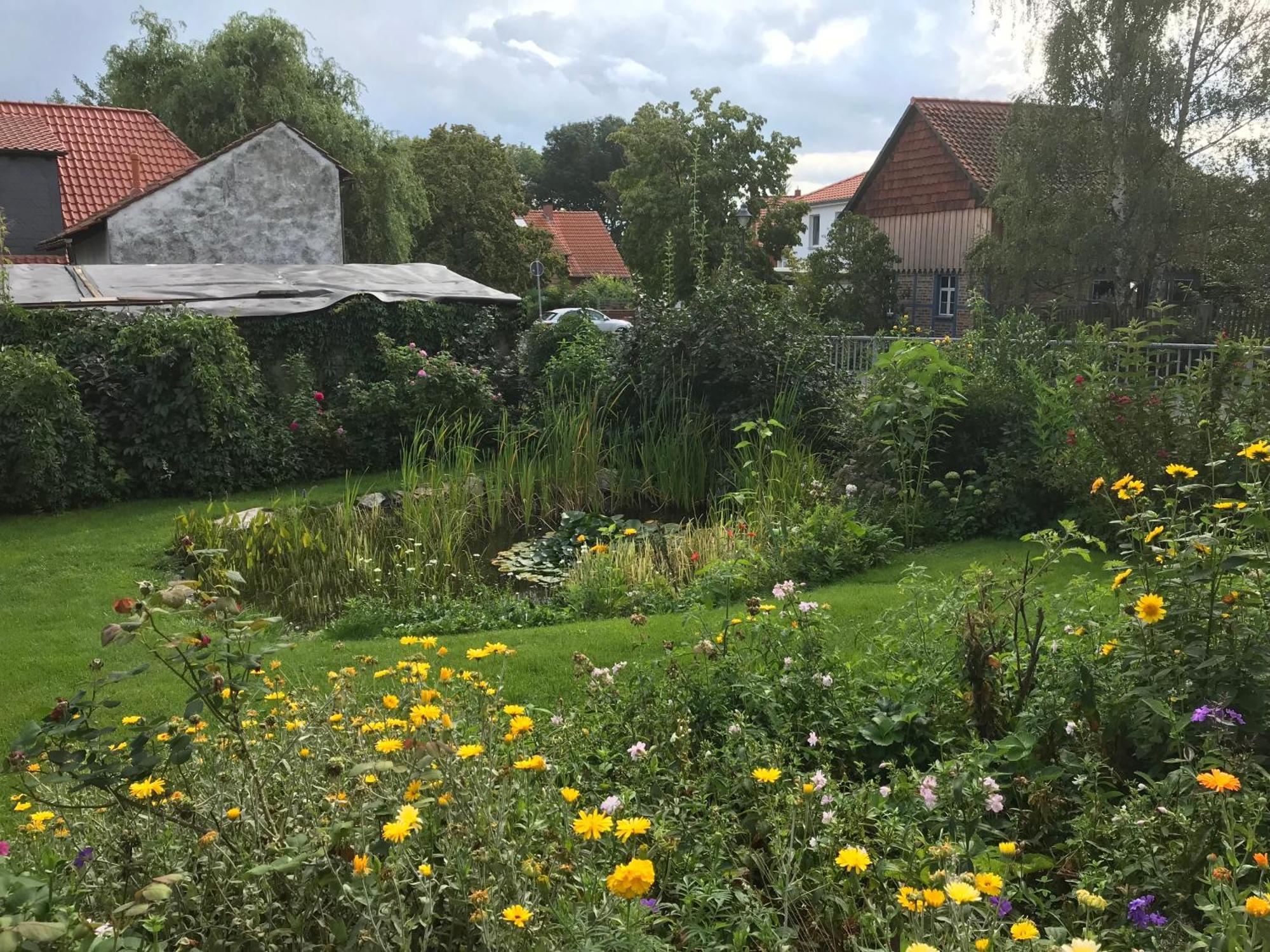 Schoene Gemuetliche Ferienwohnung Mit Kamin I Im Harz Darlingerode Экстерьер фото
